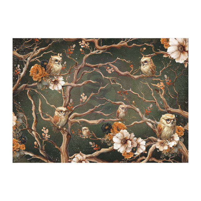 Prima - Made of Magic- A3 Decoupage