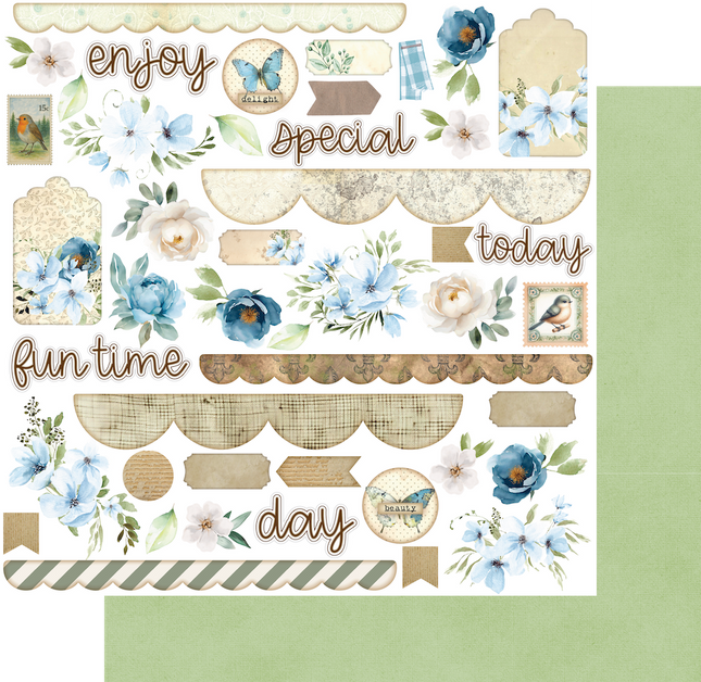 Uniquely Creative - Delighted Curiosities - Curiosity Cabinet