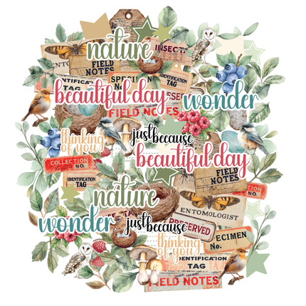 Uniquely Creative - Botanical Chronicles - Creative Cuts
