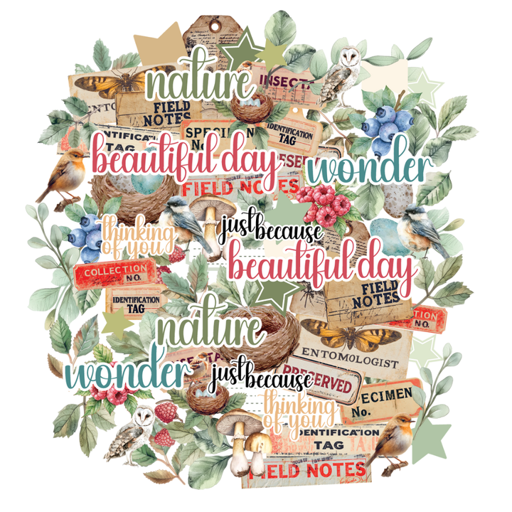 New Arrivals – Papermaze Scrapbooking Supplies
