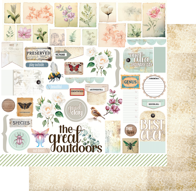 Uniquely Creative - Floral Archives - Documented Flora