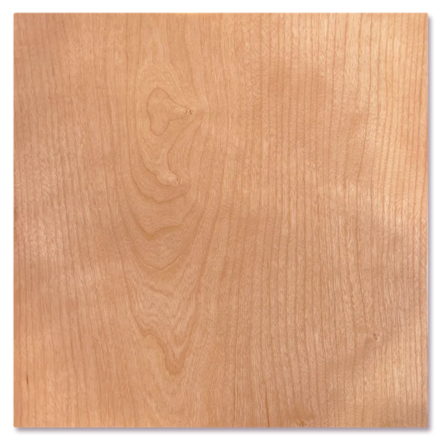Uniquely Creative - 12 X 12 Sticky-Back Woodgrain Paper