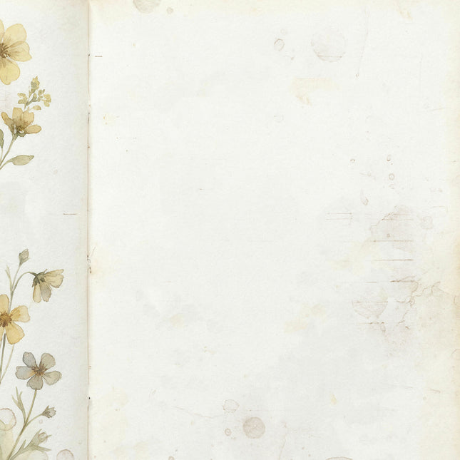 49 and Market - The Quiet Observer - Vellum Whispers