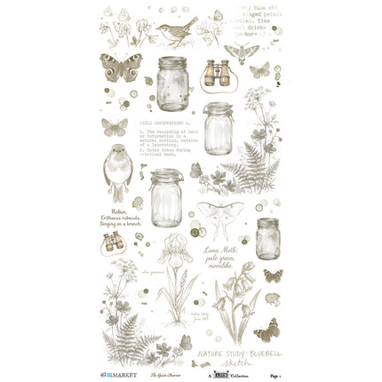 49 and Market - The Quiet Observer - Essential Rub-On Transfers