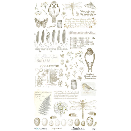 49 and Market - The Quiet Observer - Essential Rub-On Transfers