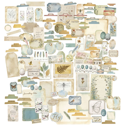 49 and Market - The Quiet Observer - Ephemera Set