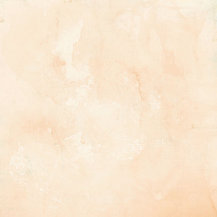 49 and Market - Mouse & Co - Solids Sheet 2