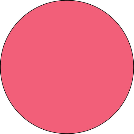 49 & Market Dye Ink Pad - Watermelon