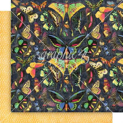 Graphic 45 - Flutter — Keepsake Kit with Exclusive Metal Die-Set