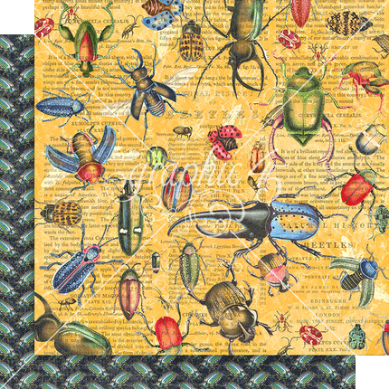 Graphic 45 - Flutter — Keepsake Kit with Exclusive Metal Die-Set