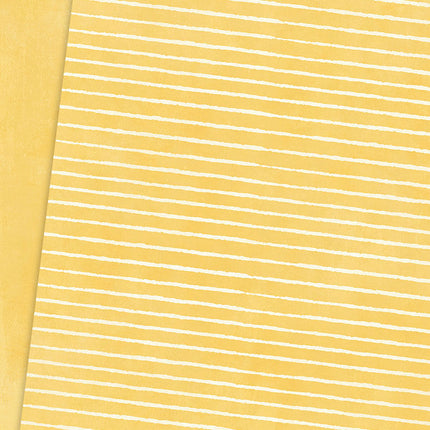 Graphic 45 - Slice of Life - 8.5x11 Patterns & Solids Pack