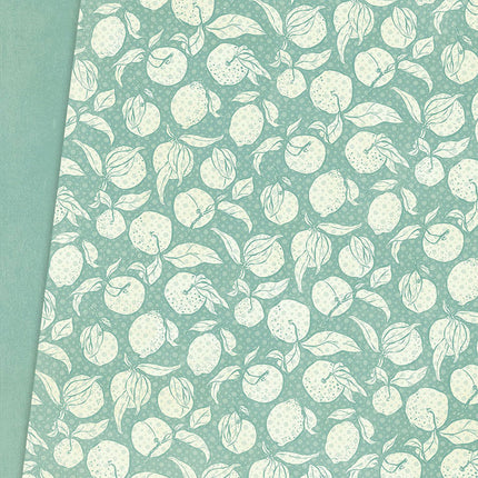 Graphic 45 - Slice of Life - 8.5x11 Patterns & Solids Pack