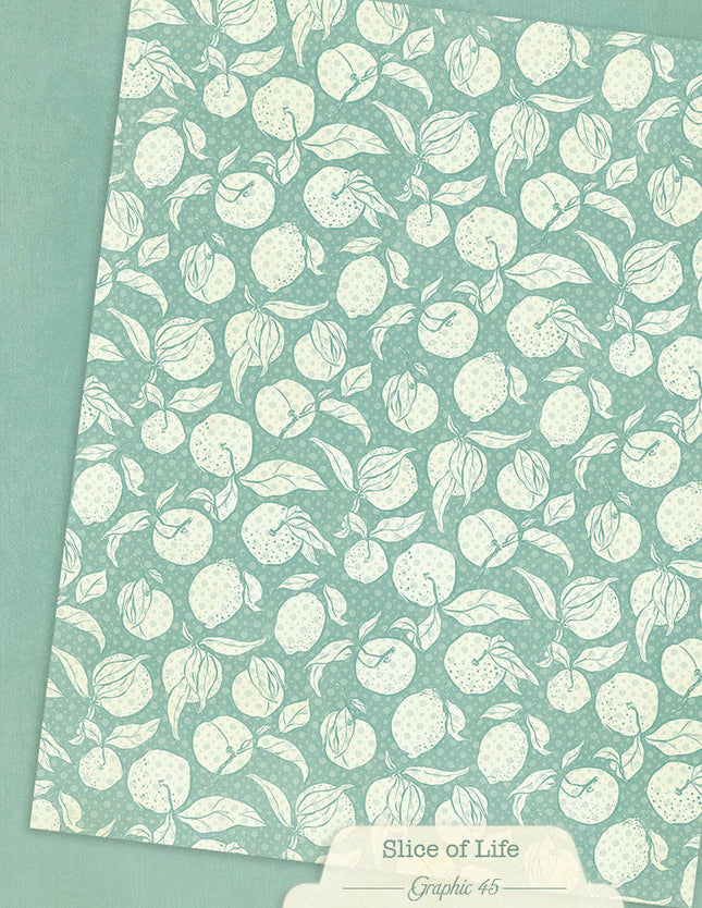 Graphic 45 - Slice of Life - 8.5x11 Patterns & Solids Pack
