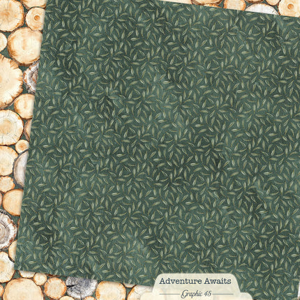 Graphic 45 - Adventure Awaits - Tree Rings
