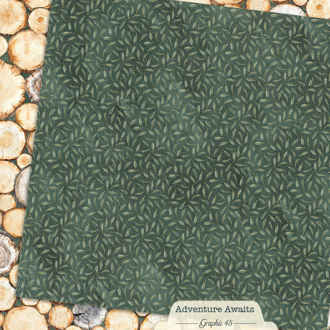 Graphic 45 - Adventure Awaits - Tree Rings