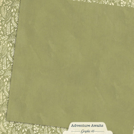 Graphic 45 - Adventure Awaits - Fern Green Pattern & Solid Sheet