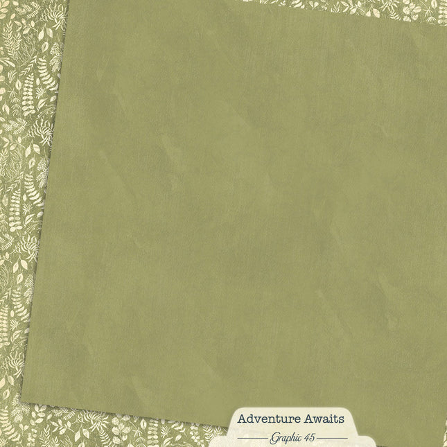 Graphic 45 - Adventure Awaits - Fern Green Pattern & Solid Sheet
