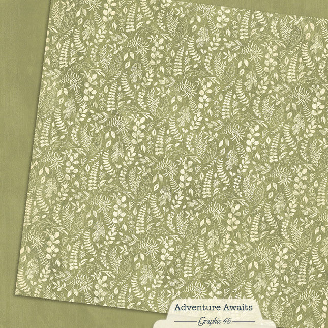 Graphic 45 - Adventure Awaits - Fern Green Pattern & Solid Sheet