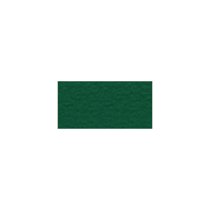 Bazzill Mono - 12X12 Cardstock - Classic Green