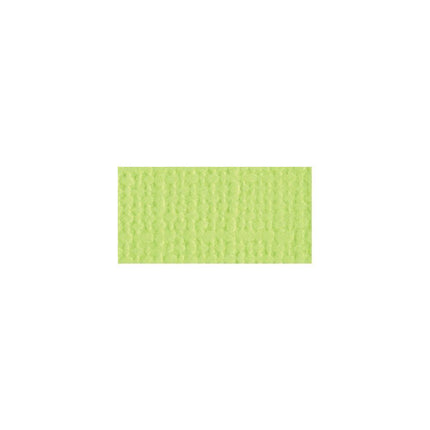 Bazzill Mono - 12X12 Cardstock - Limeade