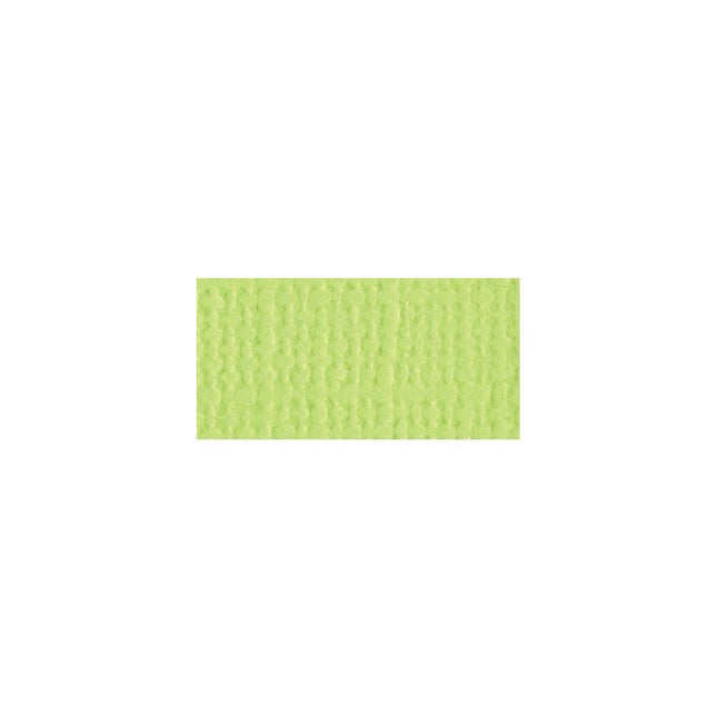 Bazzill Mono - 12X12 Cardstock - Limeade