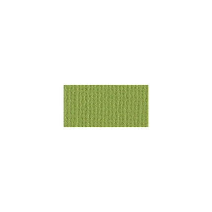 Bazzill Mono - 12X12 Cardstock - Parakeet