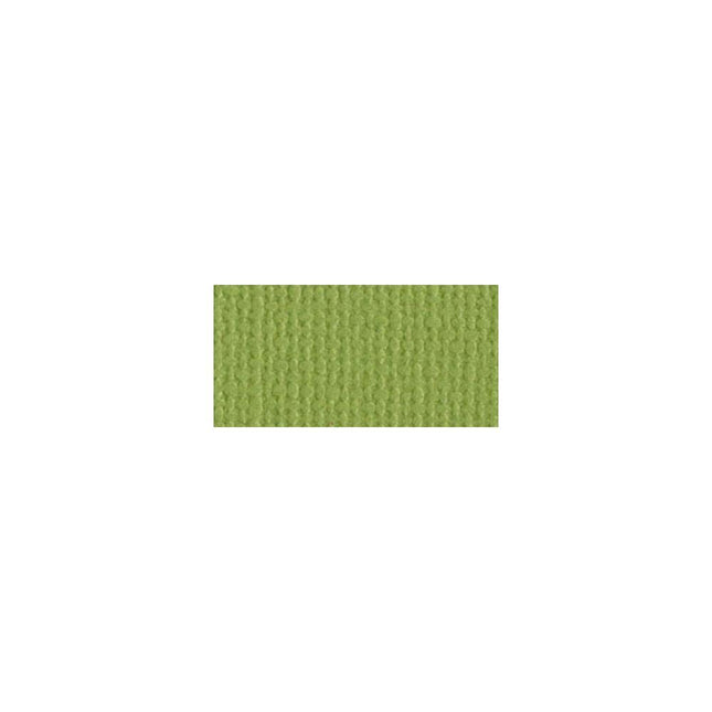 Bazzill Mono - 12X12 Cardstock - Parakeet