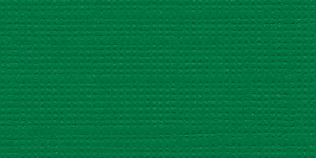 Bazzill Mono - 12X12 Cardstock - Bazzill Green