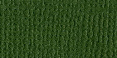 Bazzill Mono - 12X12 Cardstock - Ivy