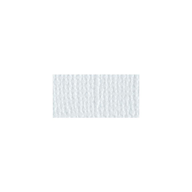 Bazzill Mono - 12X12 Cardstock - Powder Blue
