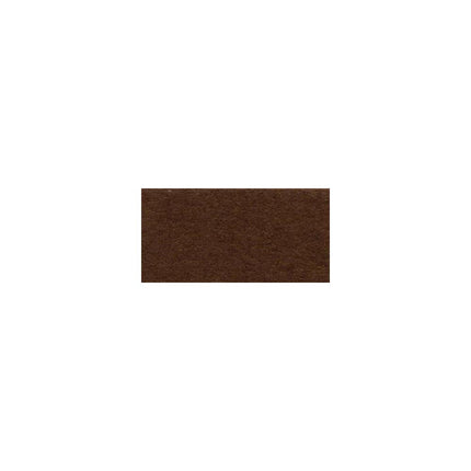 Bazzill Mono - 12X12 Cardstock - Chocolate