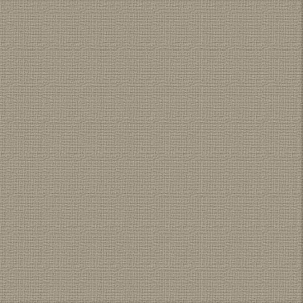 Ultimate Crafts 12x12 Cardstock - Silver Star (10 pack)