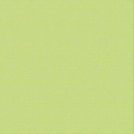 Ultimate Crafts 12x12 Cardstock - Mantis (10 pack)