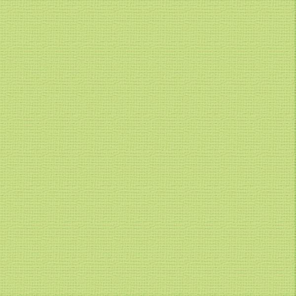 Ultimate Crafts 12x12 Cardstock - Mantis (10 pack)