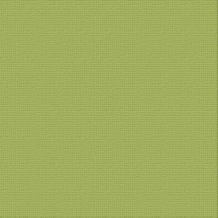 Ultimate Crafts 12x12 Cardstock - Olive Grove (10 pack)