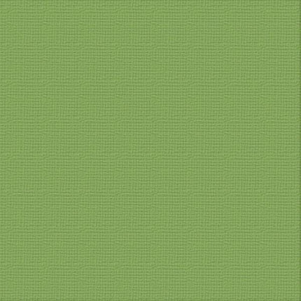 Ultimate Crafts 12x12 Cardstock - Jungle (10 pack)
