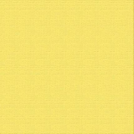 Ultimate Crafts 12x12 Cardstock - Raincoat (10 pack)