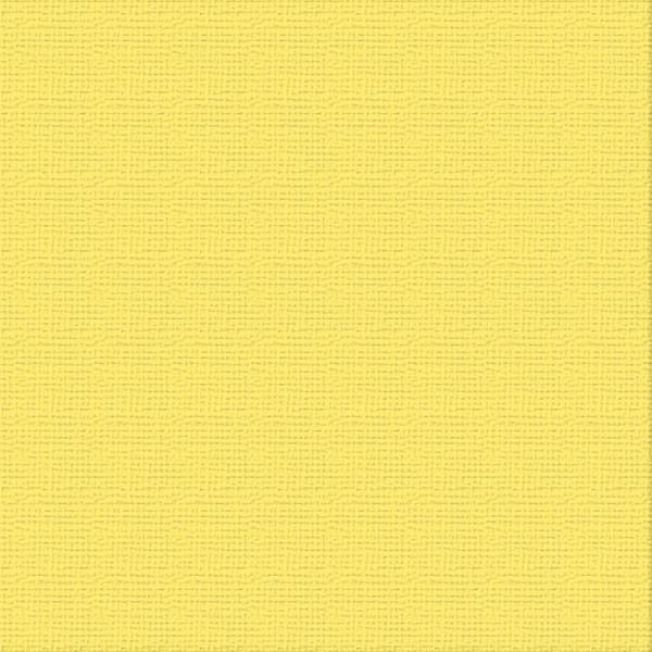 Ultimate Crafts 12x12 Cardstock - Raincoat (10 pack)